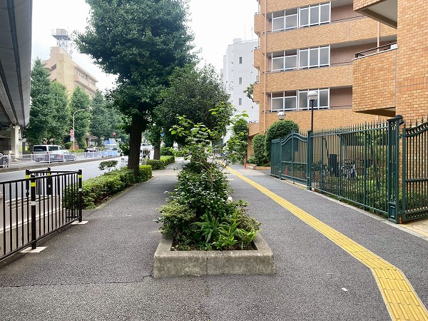目黒通り