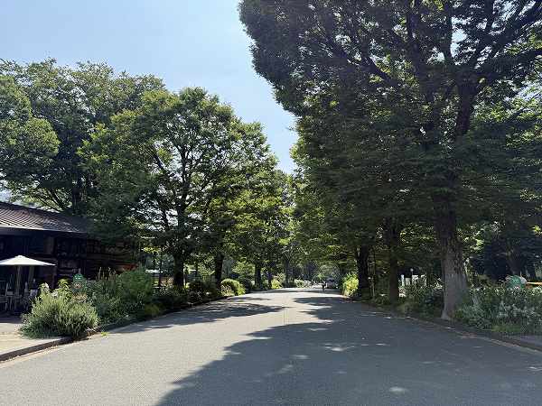 駒沢公園