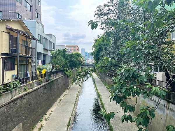 富士見ハイムまでの道　神田川