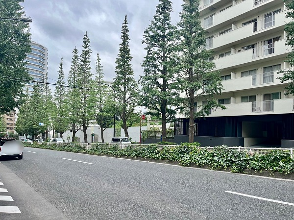 プラチナ通り