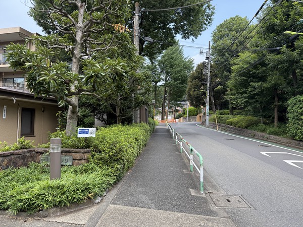 グランディオーゼ岡本前の道