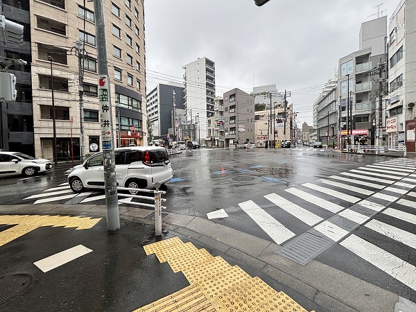 ヴィンテージ中野周辺の道