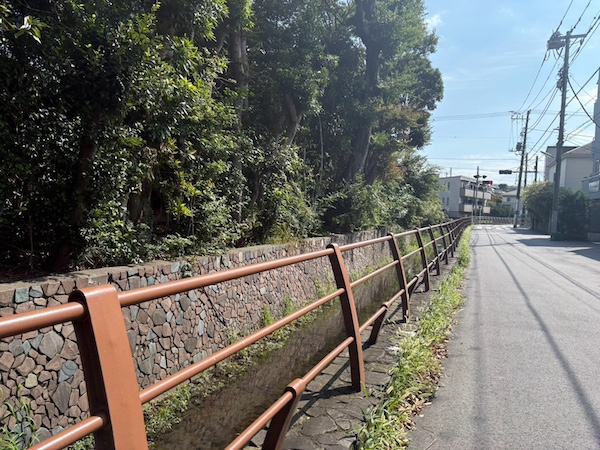河川沿い