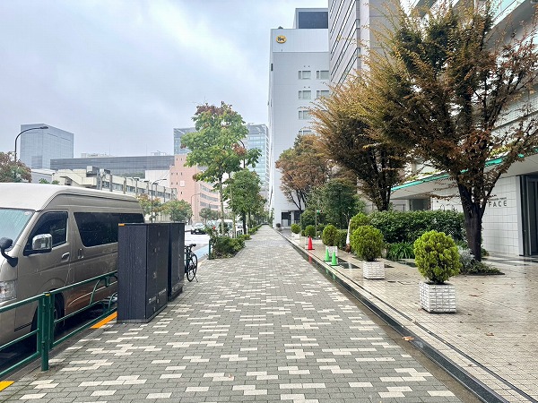 マンション前の通り