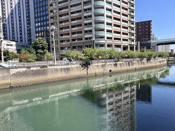 目黒川
