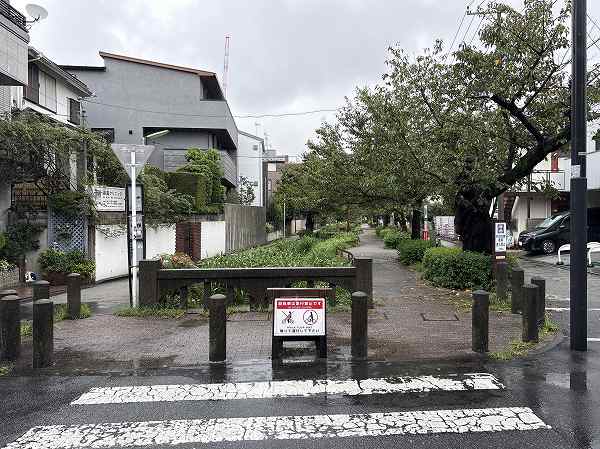 緑道