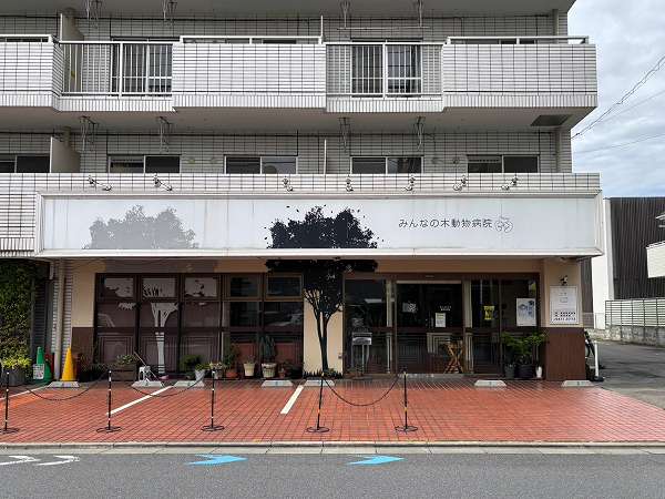 みんなの木動物病院