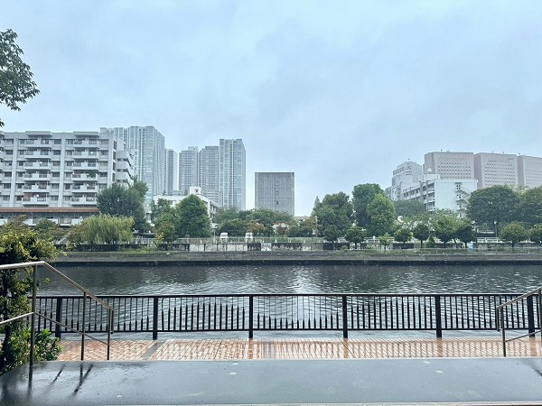 高浜運河沿緑地