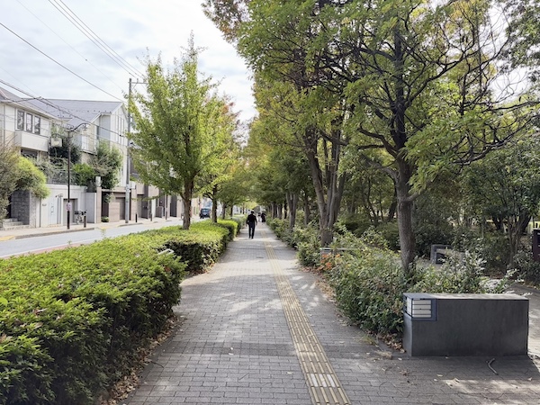 緑道