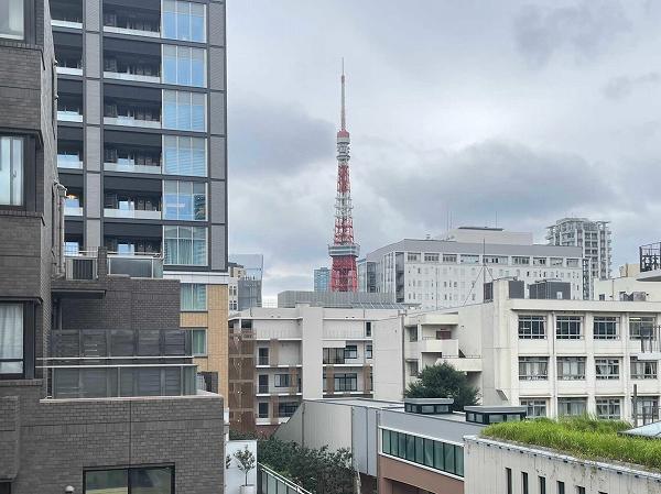 藤和三田綱町ホームズ_バルコニーからの眺望の写真3