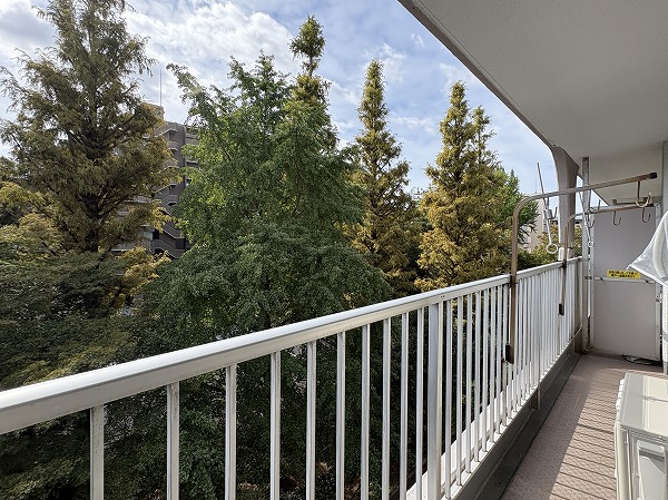 日商岩井芦花公園マンション_バルコニーの写真1