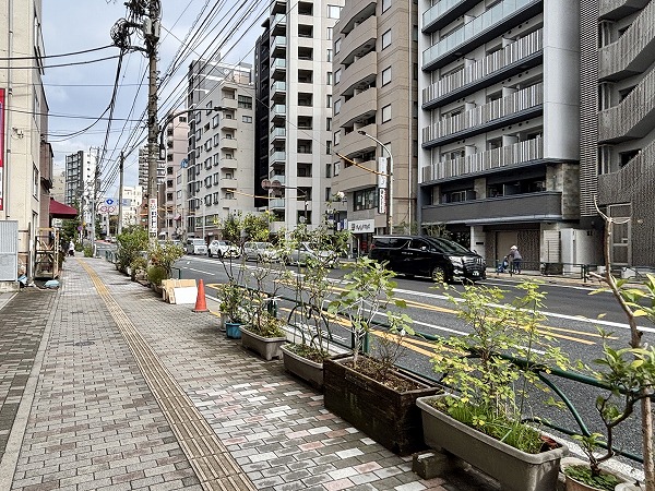 本郷通り