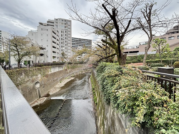 石神井川
