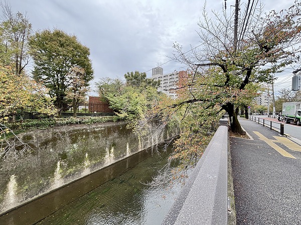 石神井川